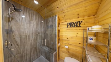 Shower, jetted tub, hair dryer, towels