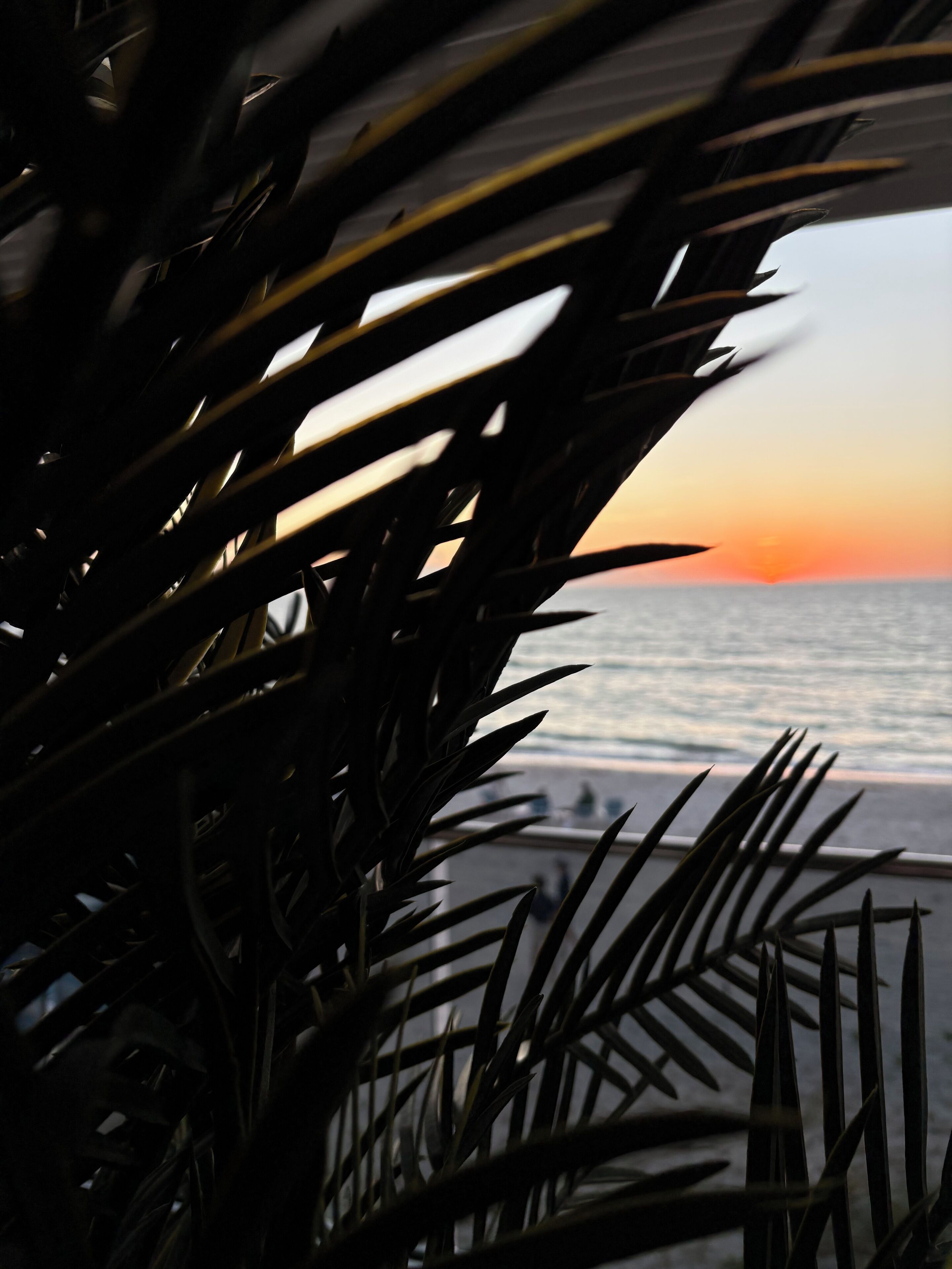 Een uitzicht op de oceaan tijdens zonsondergang, deels verborgen door begroeiing.