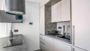 Una cucina moderna con piano cottura integrato, lavello e cappa aspirante in acciaio inossidabile.