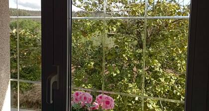 LODGING AT CASA DO SAN PAIO DE BUSCÁS ON THE ENGLISH WAY AND NATURAL SURROUNDINGS