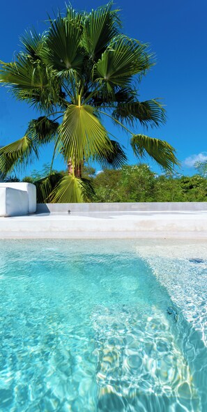 Immagine non classificata, 4 di 7, pulsante