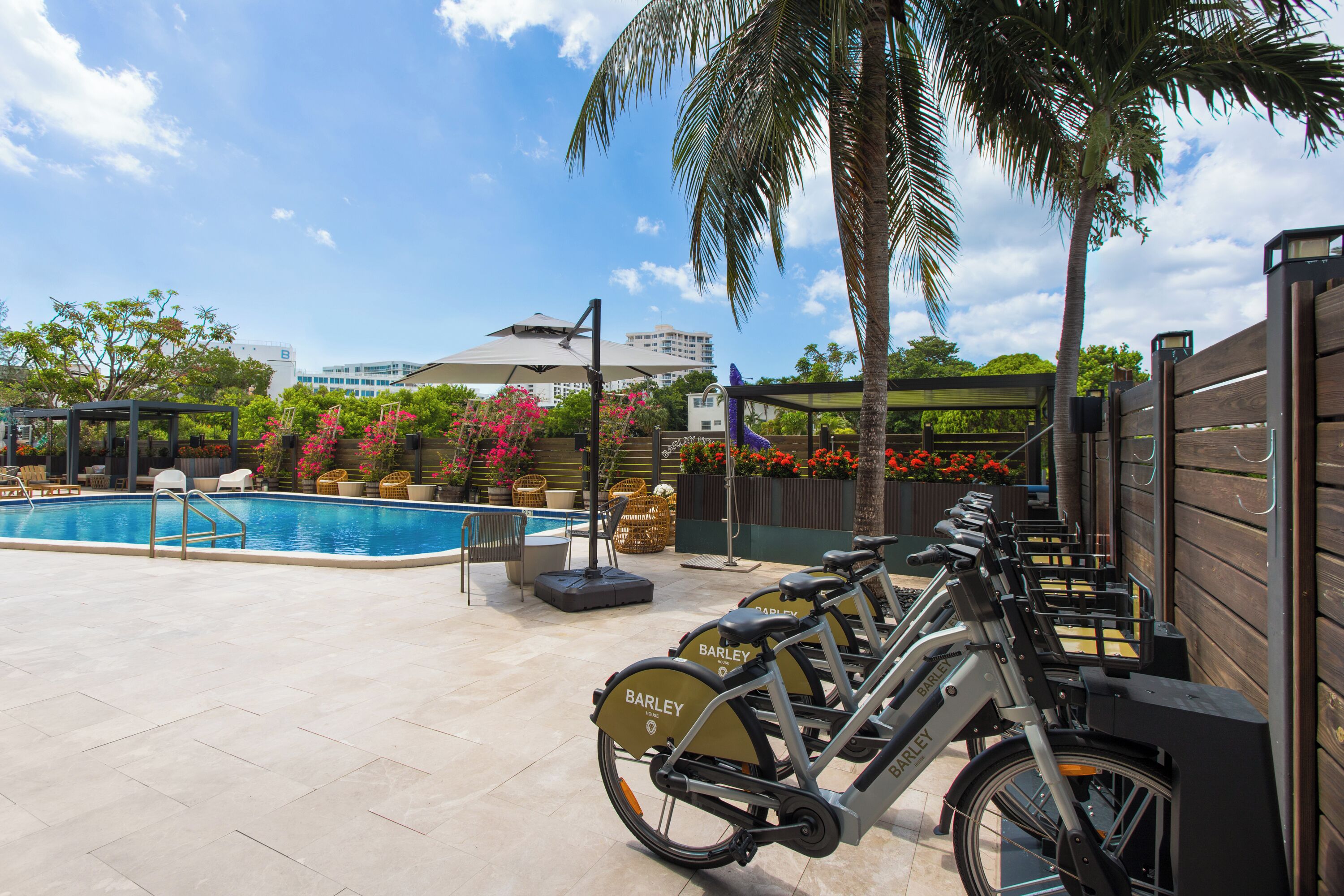 A poolside area with a pool, lounge chairs, and bicycles for rent.