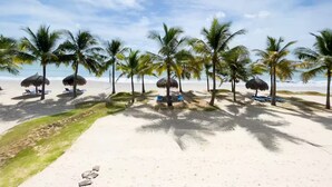 Ein Strand mit Palmen, Liegestühlen und Reetdachschirmen.