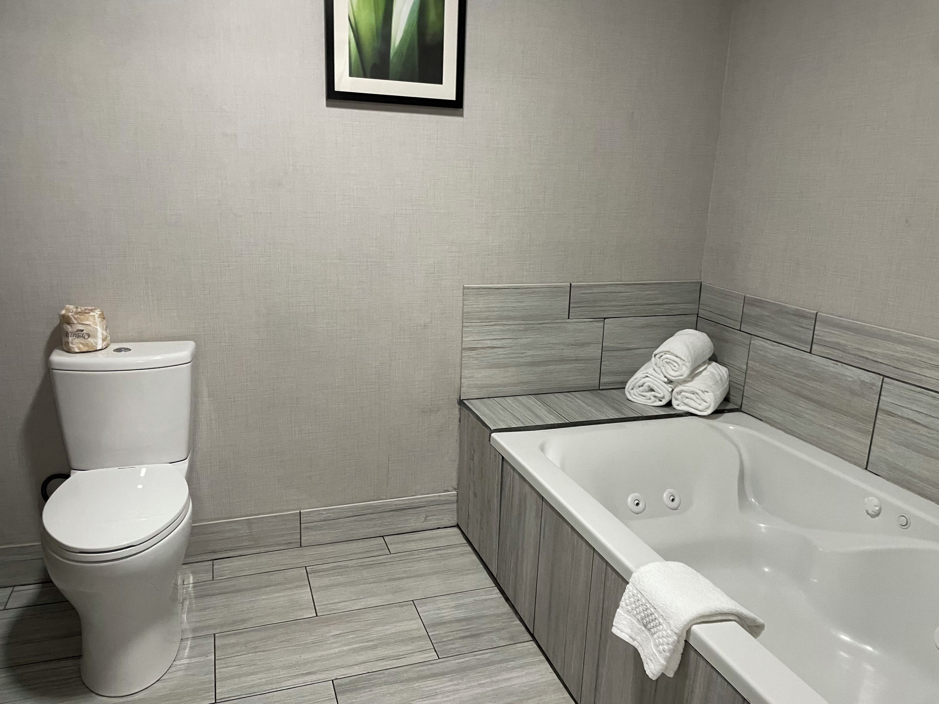 Un baño con inodoro, bañera y zona de ducha.