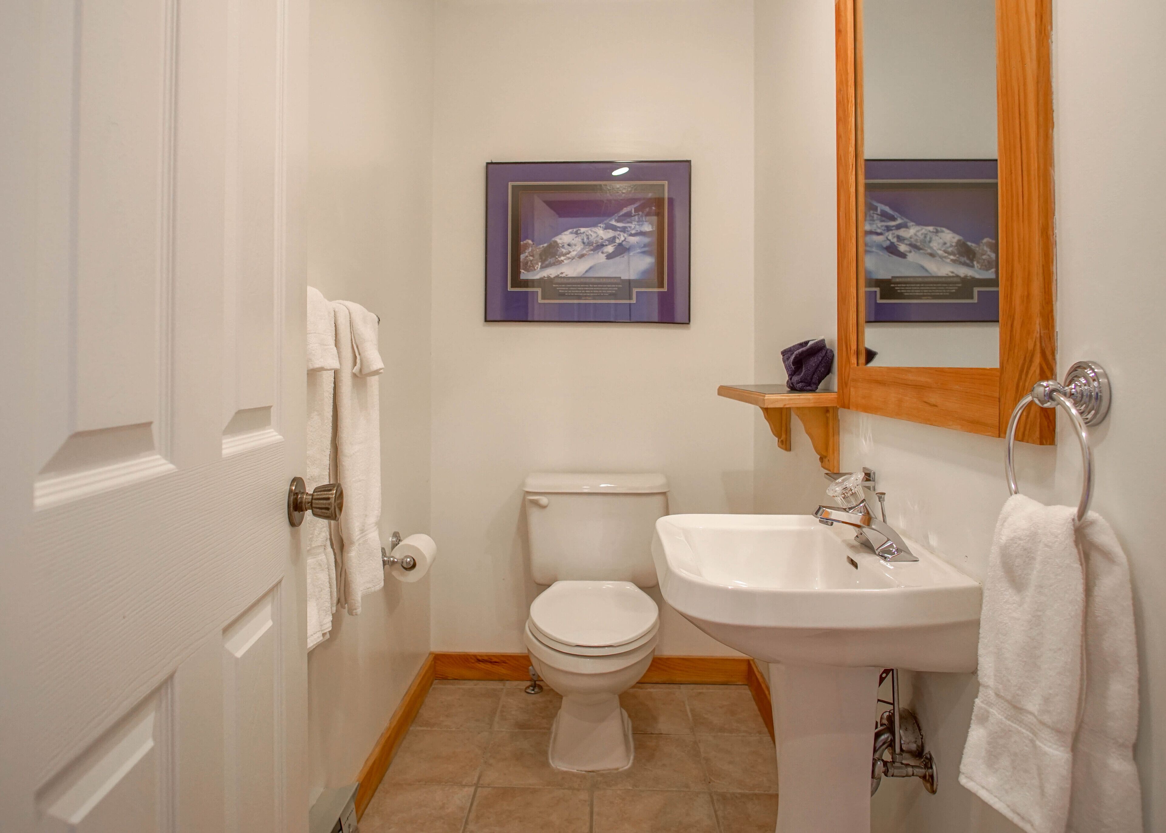A bathroom with a toilet, sink, and a framed picture above the sink.