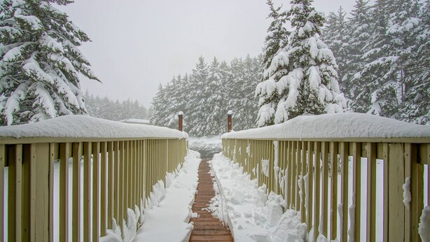 A snow-covered wooden pathway flanked by snow-laden trees, leading to a building. - Leatherbark - 202a 2 BR Condo Spacious Living Room (Snowshoe)