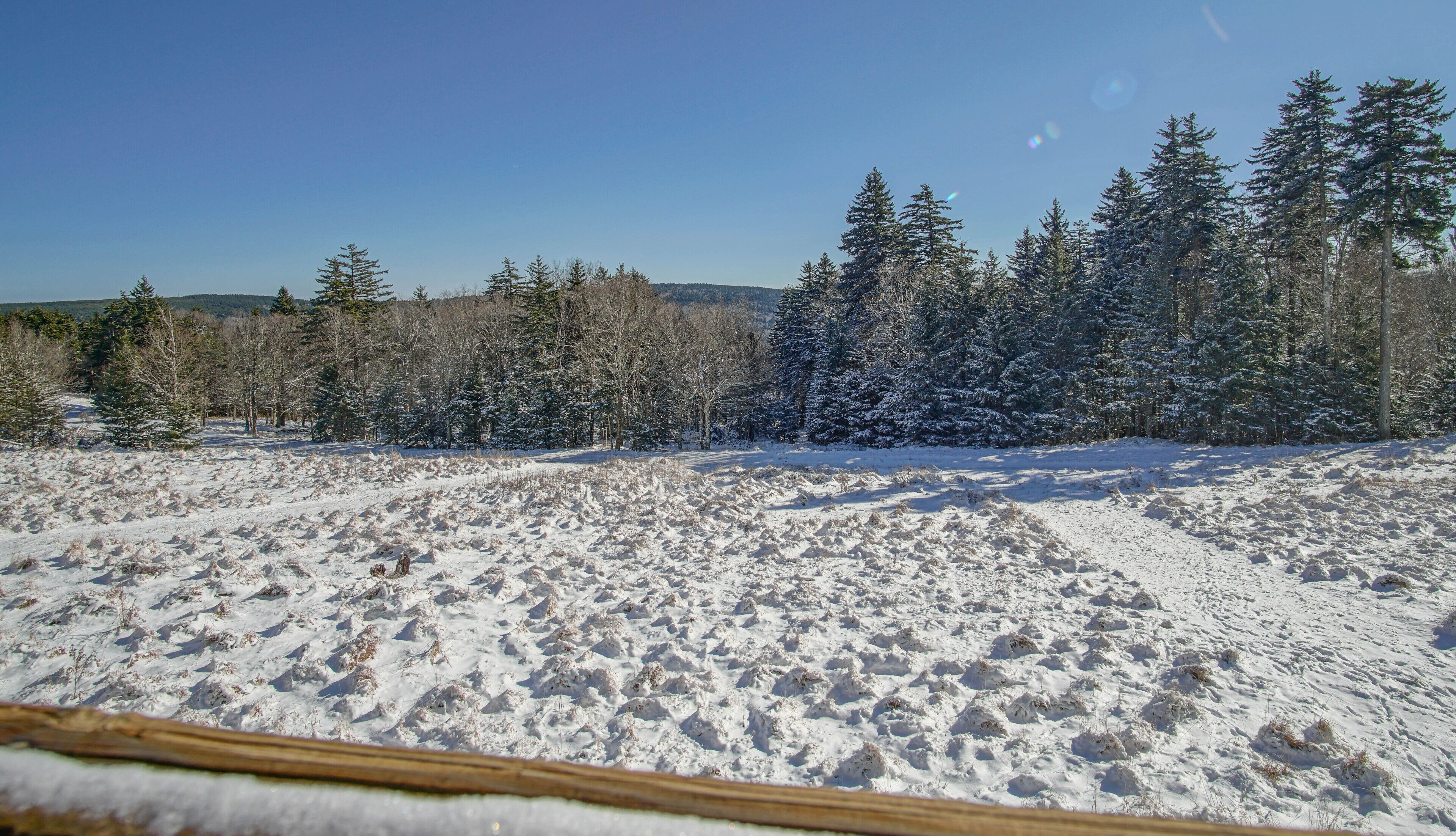 A snowy landscape with a clear sky, a forested area, and a path leading through the snow.