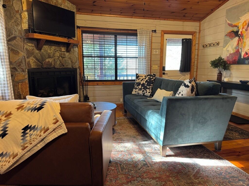 Smart TV, fireplace, books