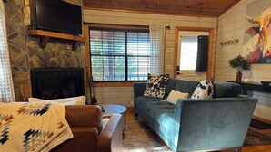 Living area - Stargazer Cabin: Sauna, Rooftop Deck, Fire Pit, Indoor Wood Fireplace, Privacy (Blue Ridge)