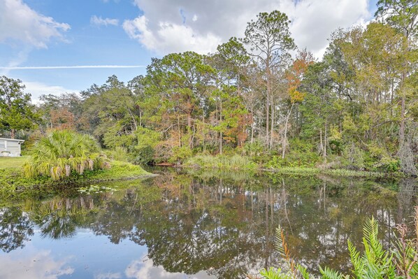 A serene pond surrounded by trees and vegetation, with a clear reflection of the sky and trees. - Weeki Wachee Family Getaway: Canal-Front Home (Spring Hill)