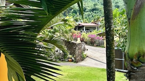 A lush garden with a stone wall, palm trees, and a pathway leading to a building with a red roof. - Villa Alana (Vaitape)