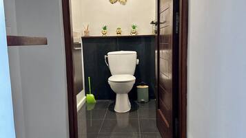 A modern bathroom with a toilet, a green cleaning brush, and a decorative mirror.