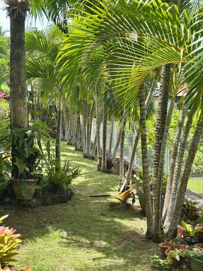 Jardín