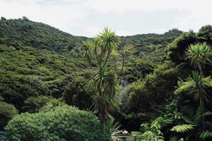 Un paisaje verde exuberante con vegetación densa y una colina al fondo.