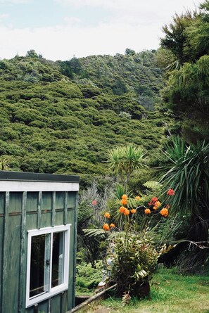 Property grounds - The Lazy Sailor - slow living retreat (Great Barrier Island / Aotea)