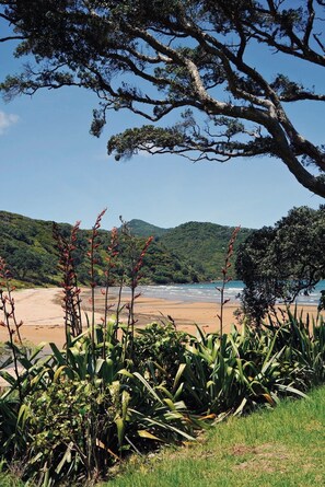 Una playa con vista despejada al mar, rodeada de colinas verdes y vegetación.