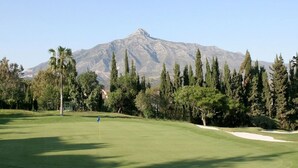 Un campo da golf con una bandiera sul green, alberi e una montagna sullo sfondo.