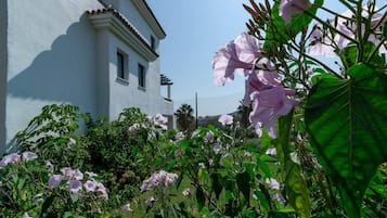 Un edificio con fachada blanca y una ventana pequeña, rodeado de vegetación exuberante y flores rosadas.