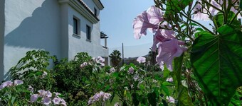 Dja- Modern 2 Bedroom Apartment Close to Beach