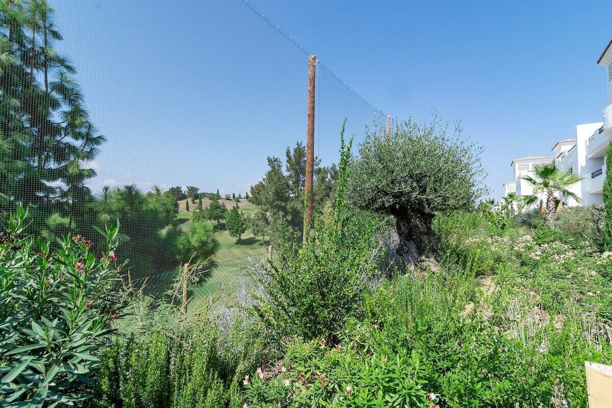 A fenced outdoor area with greenery, a utility pole, and a building in the background.