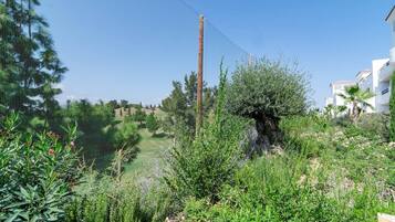 Un espacio al aire libre rodeado por una cerca, con diversa vegetación, incluyendo árboles y arbustos.