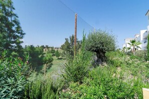 A fenced outdoor area with a variety of vegetation, including trees and shrubs. - Dja- Modern 2 Bedroom Apartment Close to Beach (Casares)