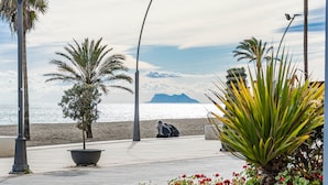 Une promenade en bord de mer agrémentée d’un palmier, d’un lampadaire et d’un parterre de fleurs.