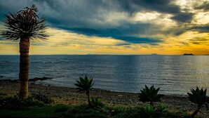 A beach with a palm tree and agave plants, a calm sea, and a sunset sky. - Lm352b- Spacious Duplex Penthouse With Panoramic (Estepona)