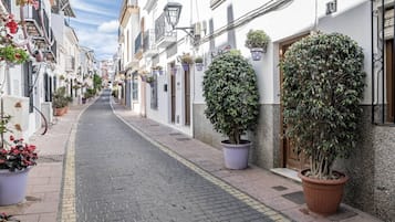 Uma rua estreita ladeada por edifícios brancos, plantas em vasos e um caminho de pedras.