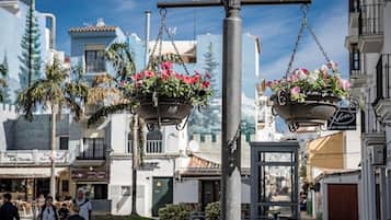 Apartment (1 Bedroom) | Innenbereich