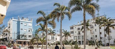 Apartment (1 Bedroom) | Innenbereich