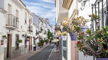 Apartment (1 Bedroom) | Interior