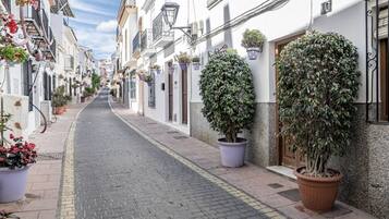 Uma rua estreita ladeada por edifícios brancos, plantas em vasos e um caminho de pedras.