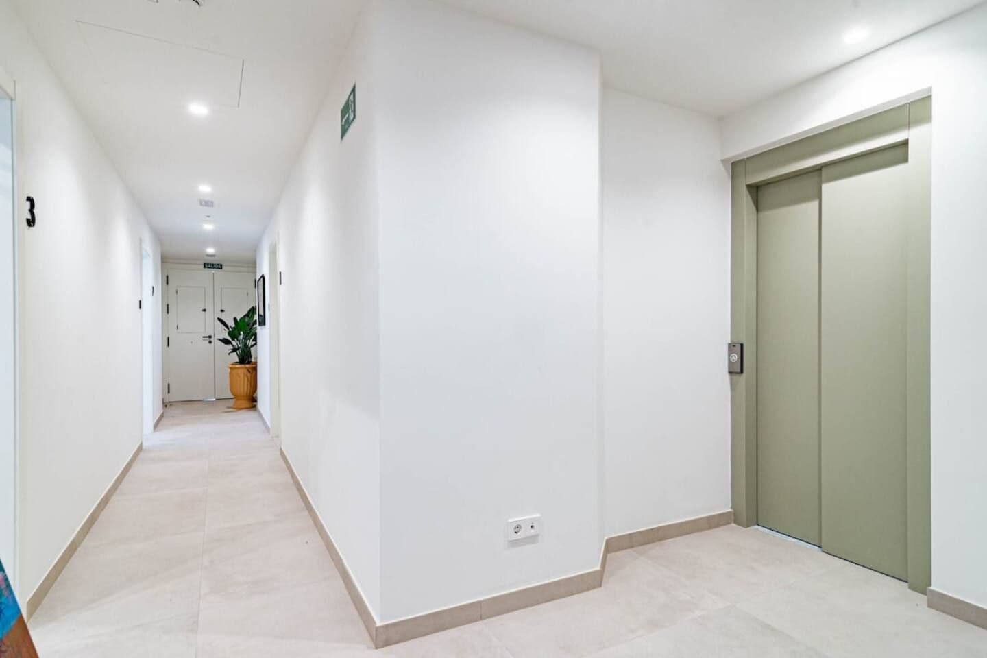 A clean, well-lit hallway with a door on the right and a potted plant on the left.