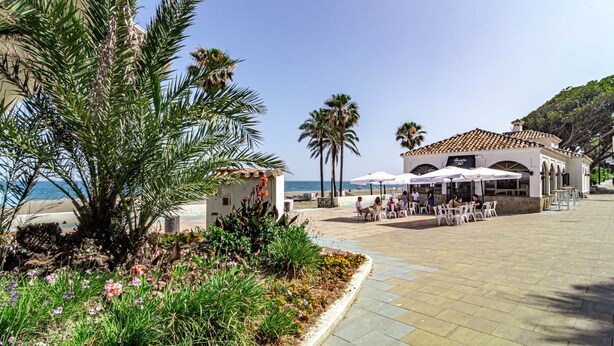 Un bâtiment situé sur la côte, doté d’une terrasse, de palmiers et offrant une vue sur la mer.