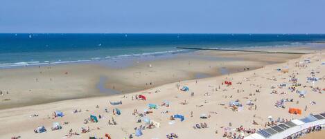 Beach nearby, fishing
