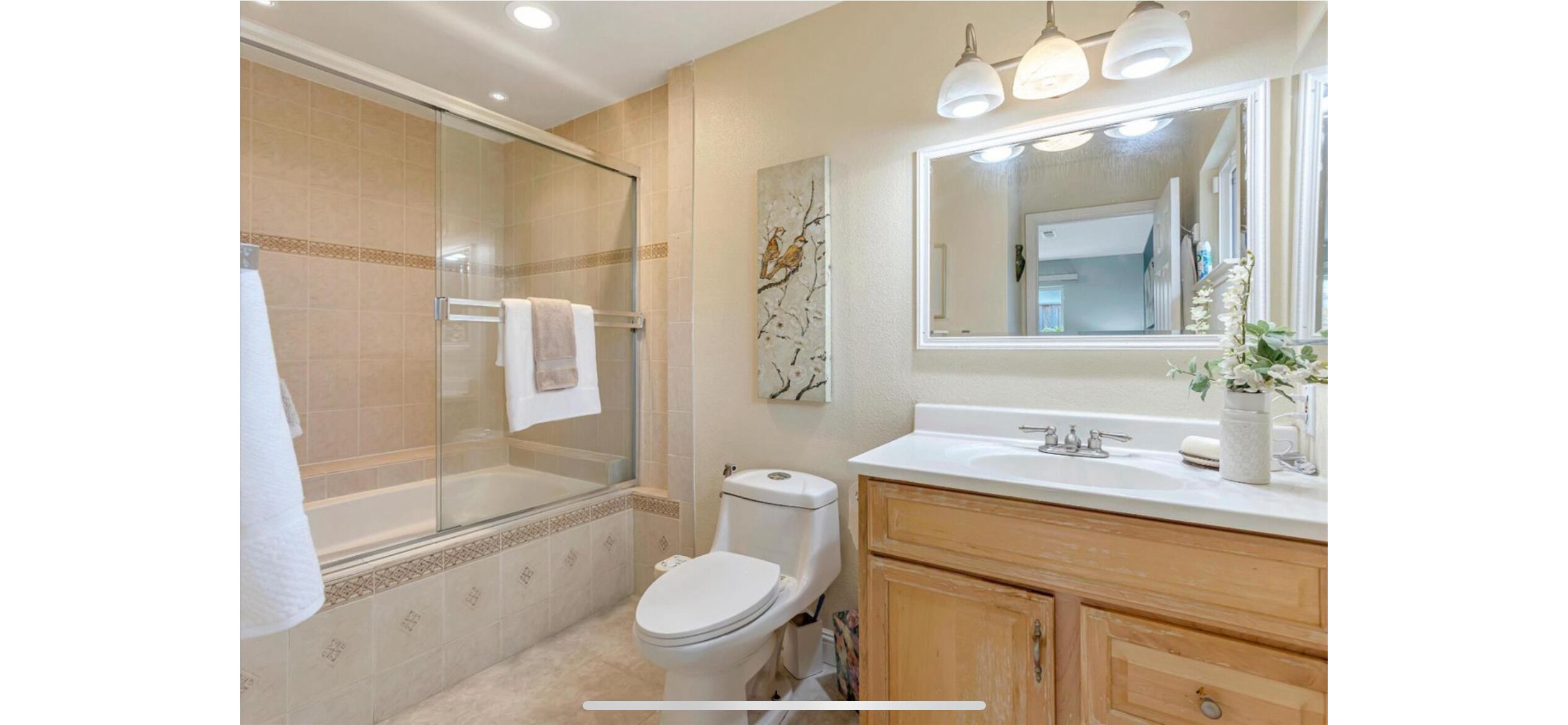 Bidet, towels, toilet paper