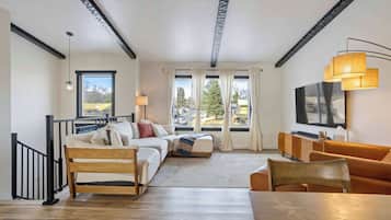 TV, fireplace, offices