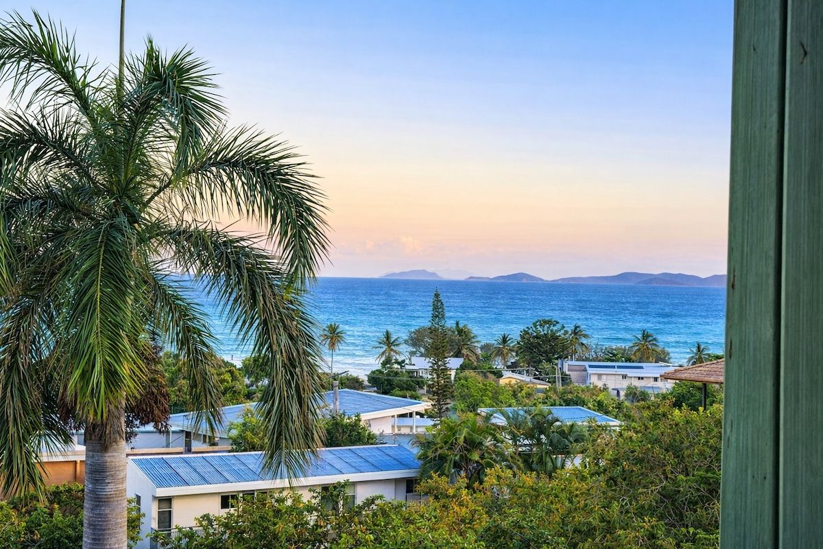 A coastal view with a palm tree, solar panels on buildings, and a clear sky.
