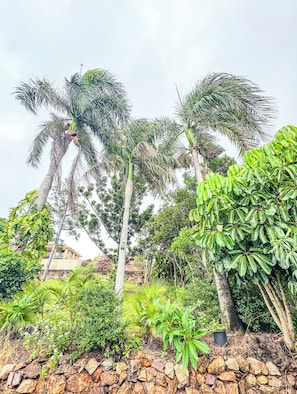 Property grounds - Ocean View Beach House - Barlows Hill (Barlows Hill)