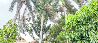 Ocean View Beach House - Barlows Hill