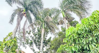 Ocean View Beach House - Barlows Hill