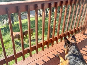Property grounds - Panoramic Views • Hot Tub • Fireplace • No Pet Fee (Ruidoso)
