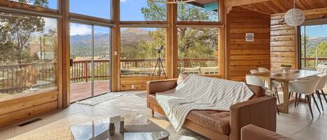 TV connectée, cheminée, livres