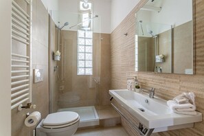 Shower, hair dryer, bidet, towels