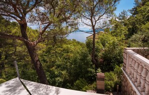 Property grounds - 1 bedroom gorgeous apartment in Brsec (Brsec)