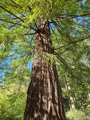 Miscellaneous - Amazing 1-bedroom apartment in Miranda perfect for your getaway (Miranda)