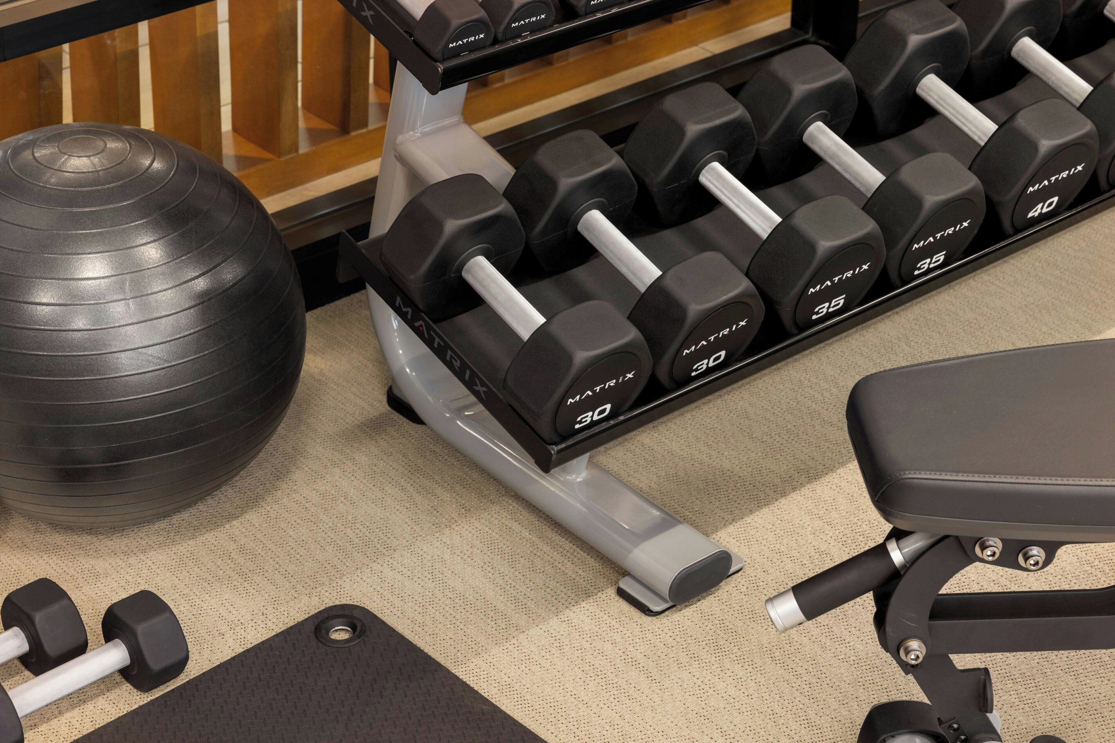 A gym with a variety of equipment including dumbbells, a medicine ball, and a bench.