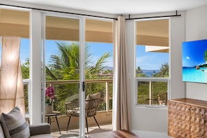 Fernseher, Arbeitsbereiche