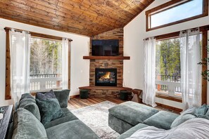 TV, fireplace, offices - Platte River Valley Cabin (Fairplay)